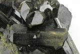 Lustrous, Epidote Crystal Cluster on Actinolite - Pakistan #213439-2